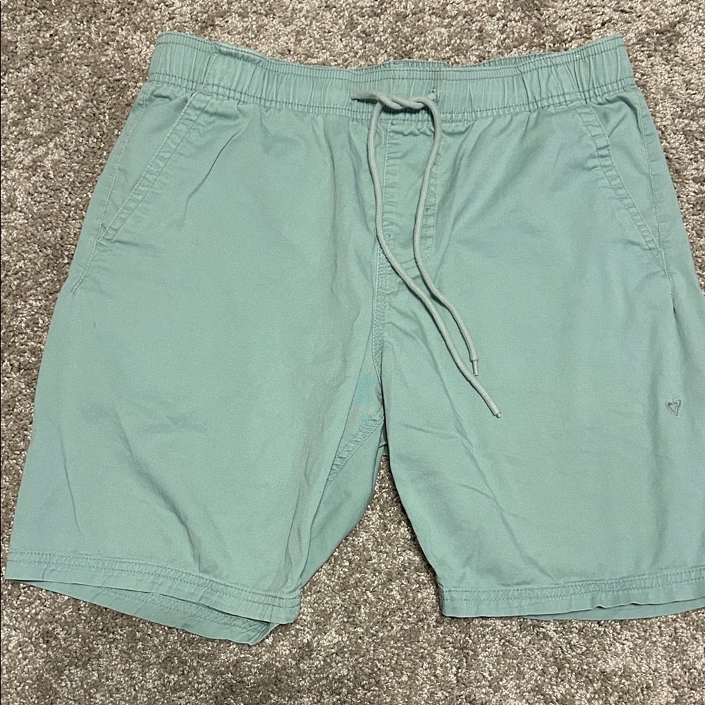 VISSLA Men's Flat Front Shorts in Seafoam Green